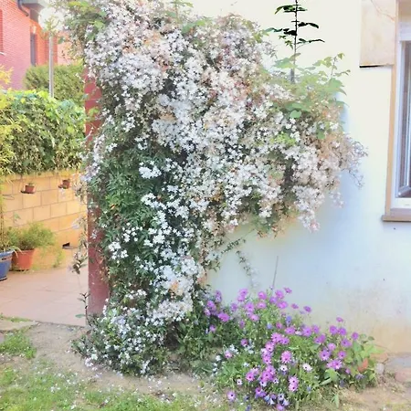 La Sirenuca